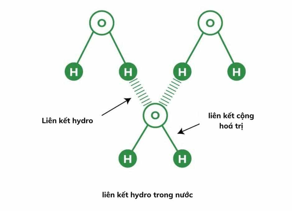 Liên kết hydro là gì Tại sao các hợp chất có liên kết hydro có nhiệt