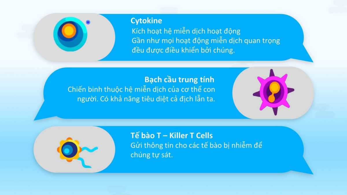 hệ miễn dịch cơ thể con người 