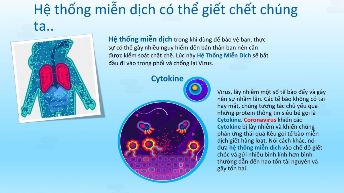 hệ thống miễn dịch cơ thể con người