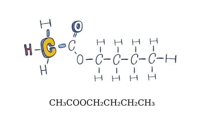 butyl acetate là gì? Công thức hoá học của butyl acetate