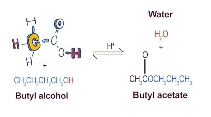 phương pháp sản xuất butyl acetate trong công nghiệp