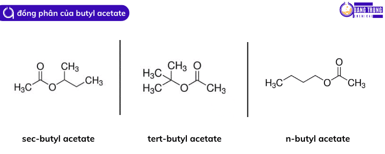 đồng phân của butyl acetate