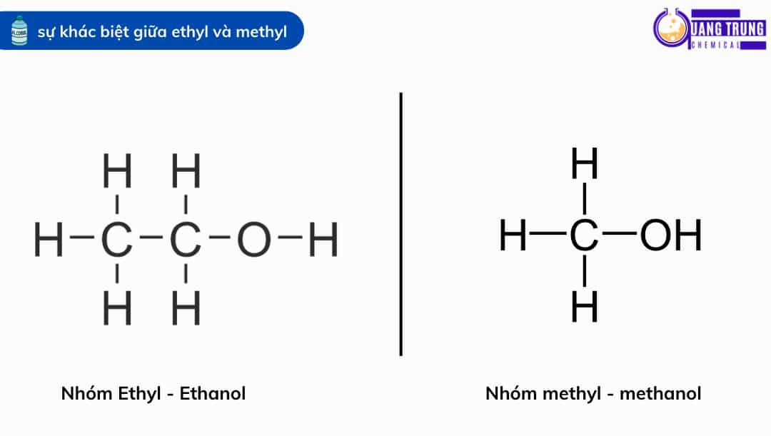 Phân Biệt Sự Khác Nhau Giữa Ethyl Vs Methyl Ví Dụ Minh Hoạ Cụ Thể 