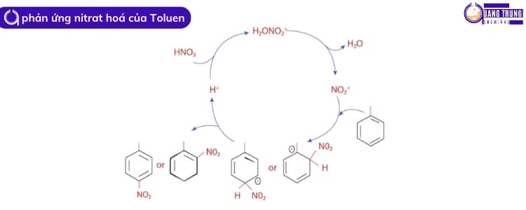 phản ứng nitro hoá của toluene